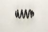 BMW 33533413080 Coil Spring